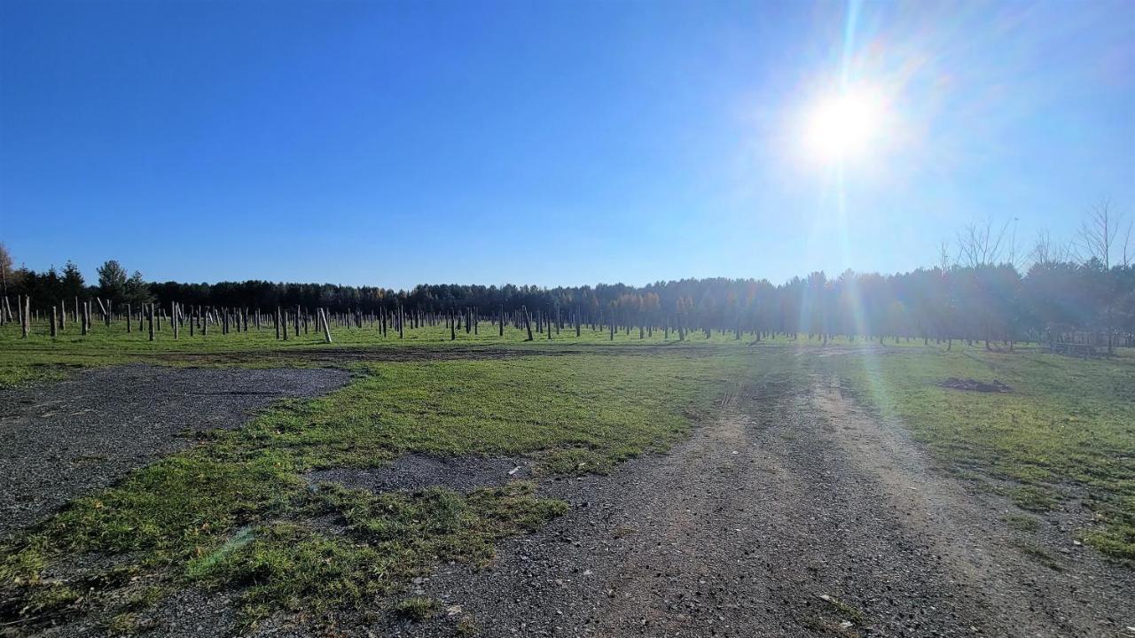 Auberge Du Vignoble Бромон Екстериор снимка